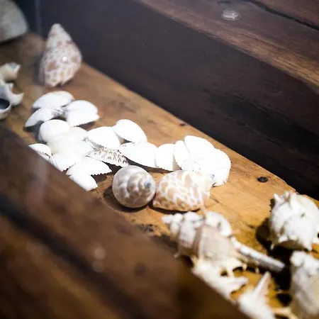 Apartamento Wismarer Heckflosse *